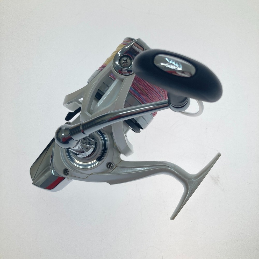 DAIWA Windsurf 35 Thick Line 059657