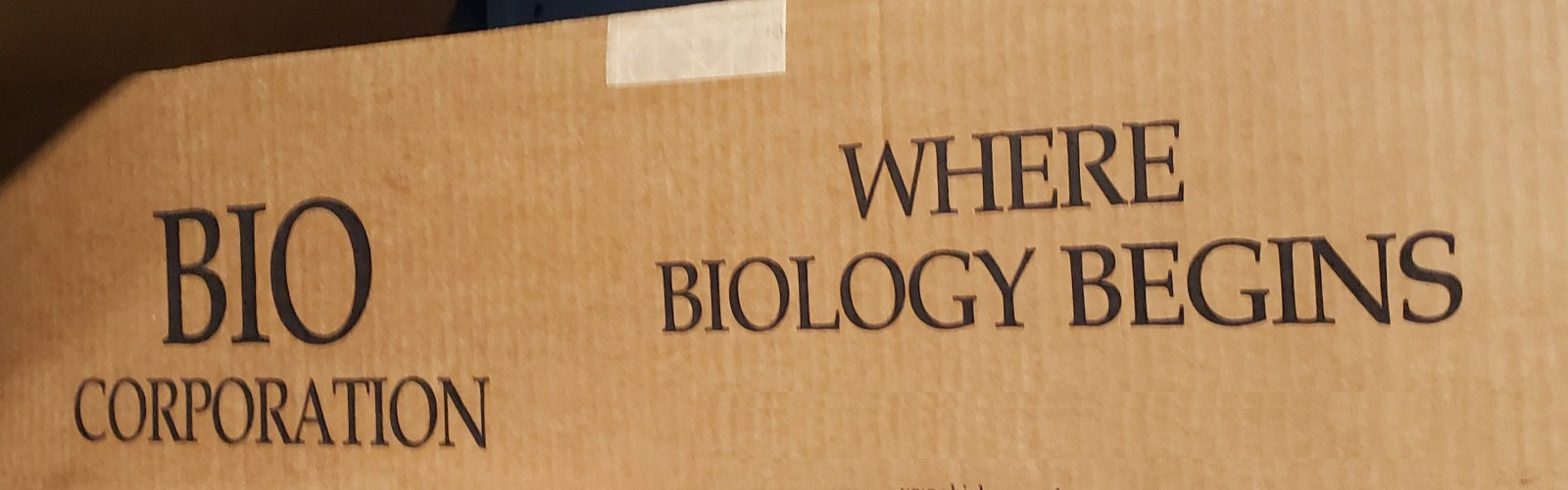 Cat Specimen Taxidermy Oddities Mummified School Research Dissect Lot