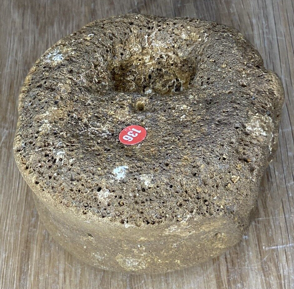 Fossil Specimen, Vertebrae, Lower Cretaceous, Berkshire, 85mm