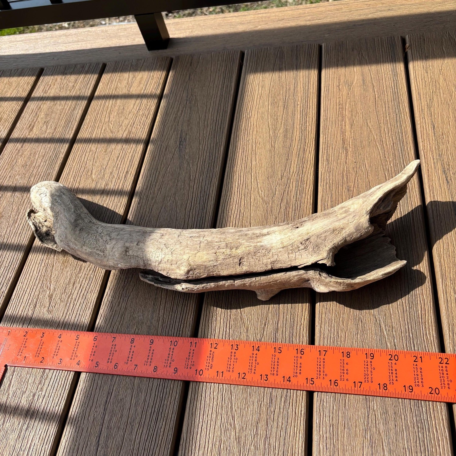 Lightweight Hollow Driftwood 22x4x8 – Sculptural Wood Natural Holes Aquarium