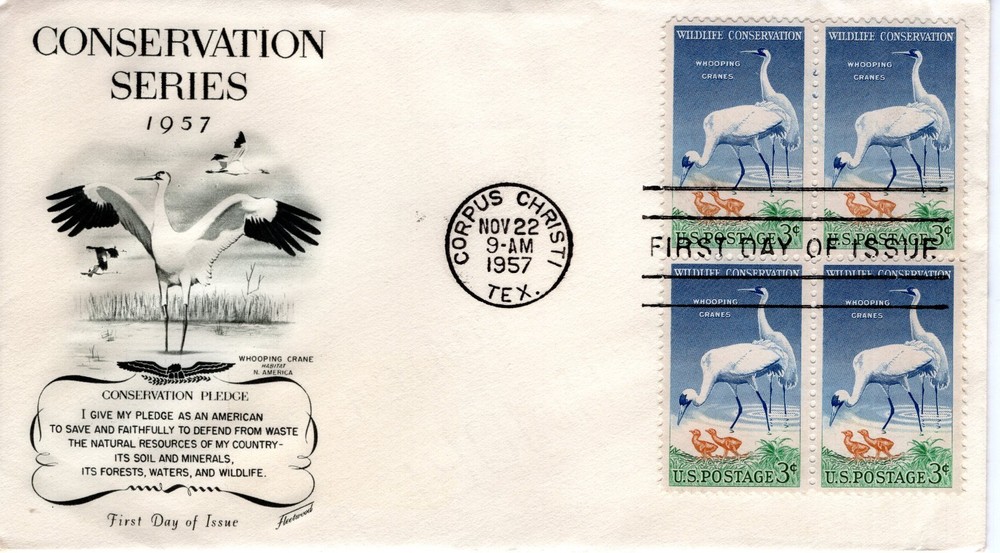 WILDLIFE CONSERVATION - 1957 - DC934