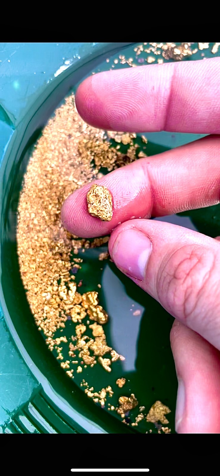 GOLD Paydirt Guaranteed Unsearched Rich with black sand + Added Gold concentrate