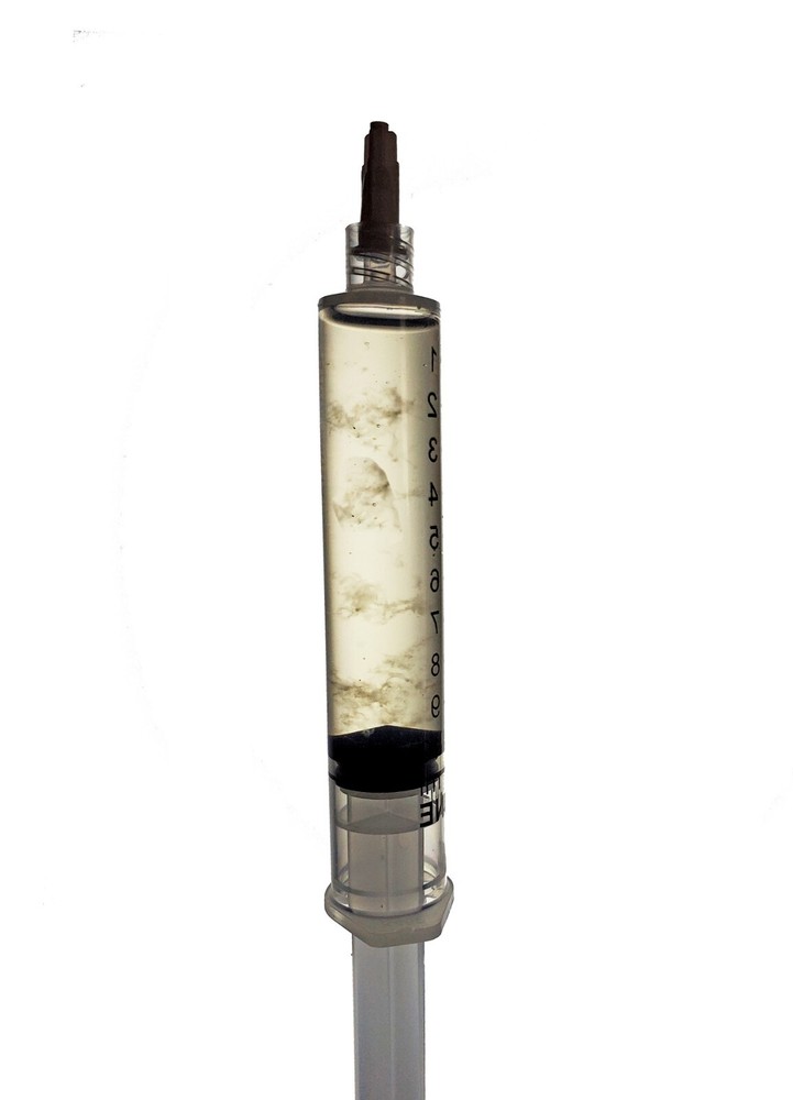 Morel Mushroom Liquid Cultures
