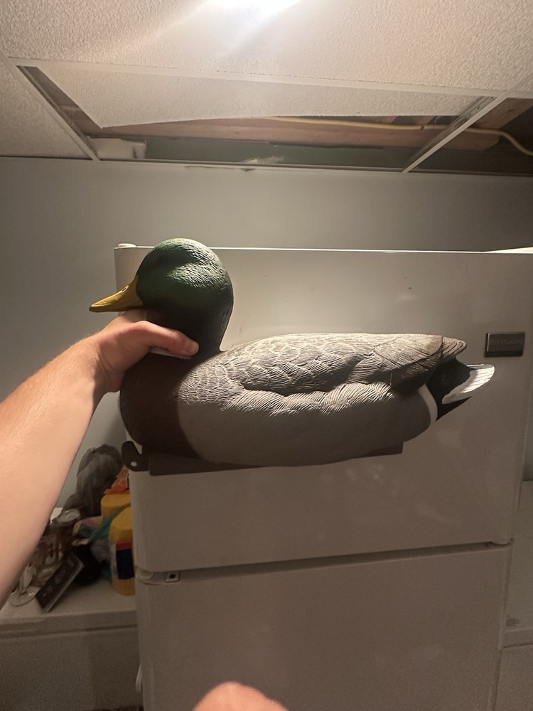 Tanglefree Super Magnum Mallards