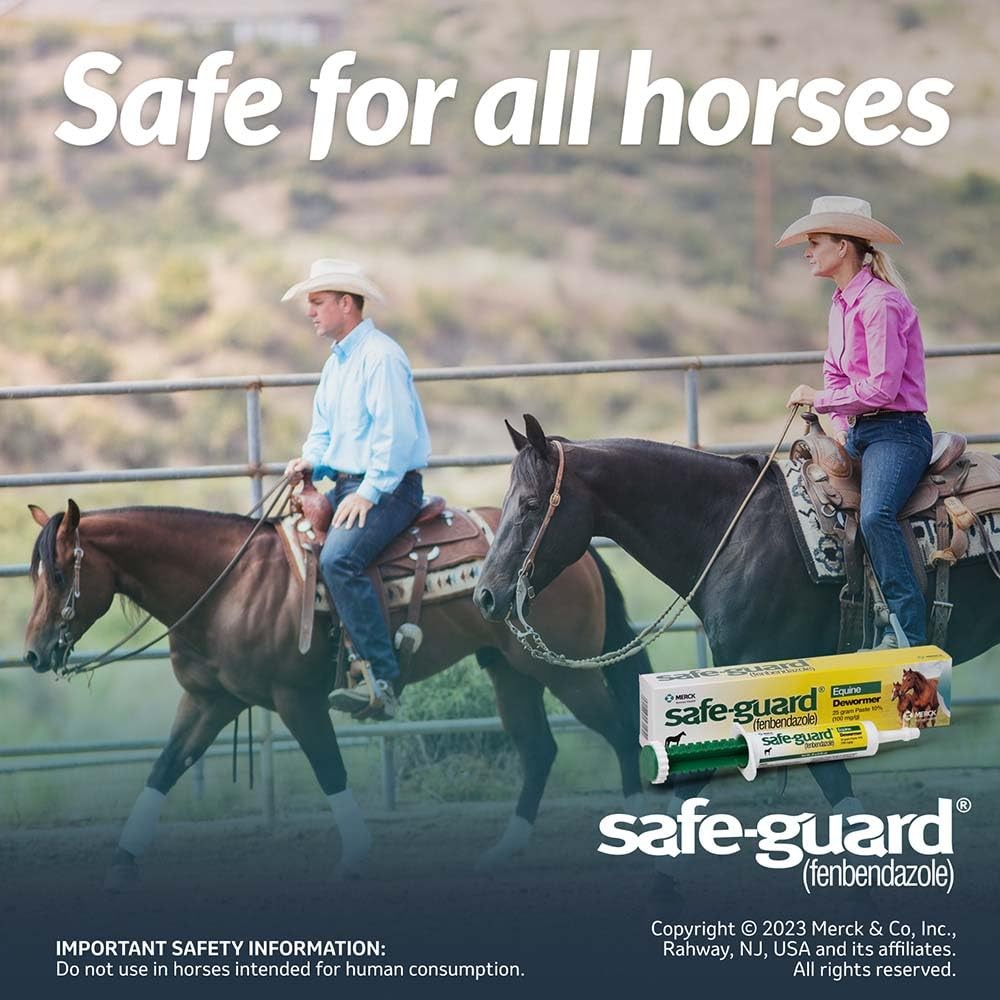Safe Guard 25 Gram Paste Equine Dewormer