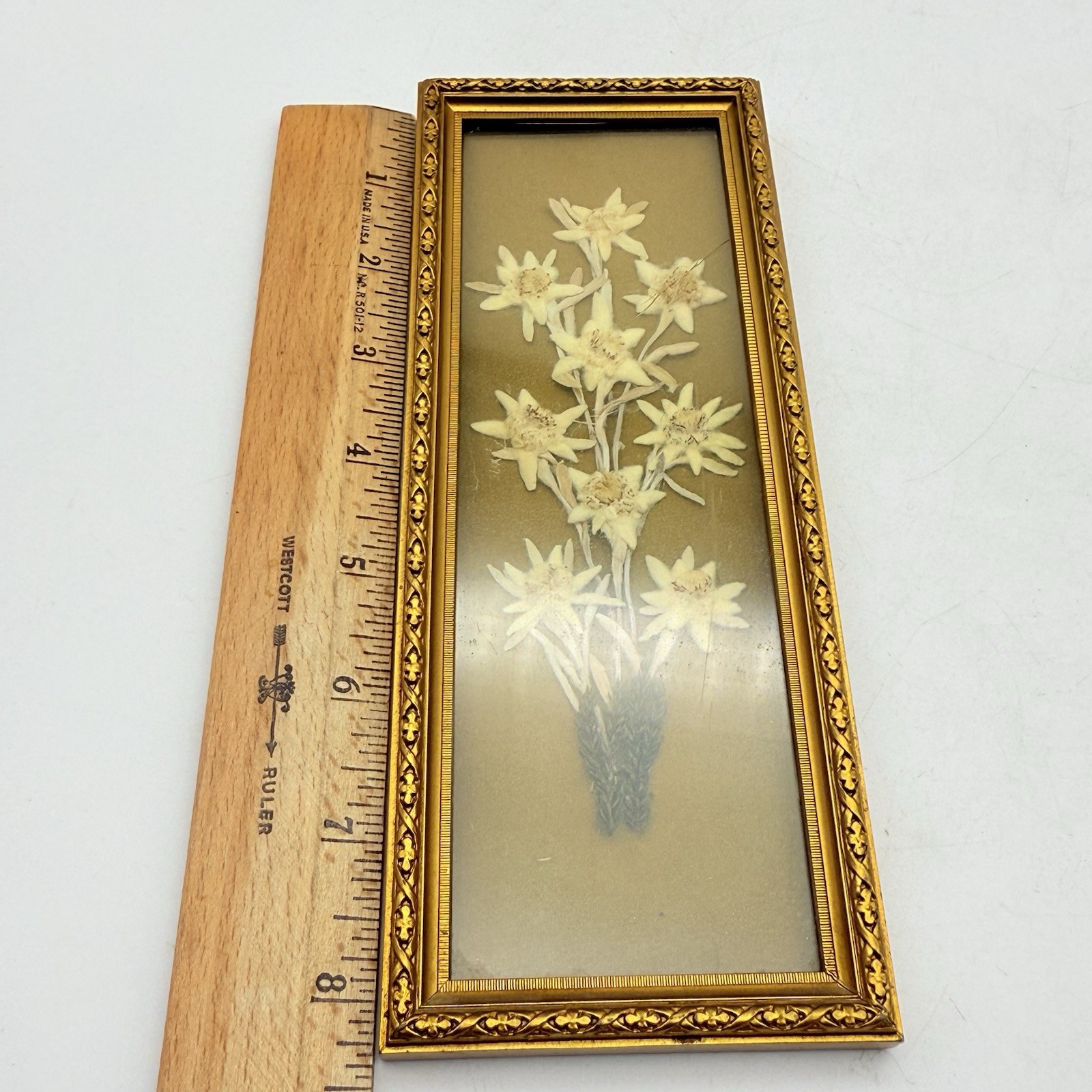 Vintage Pressed Flowers Framed