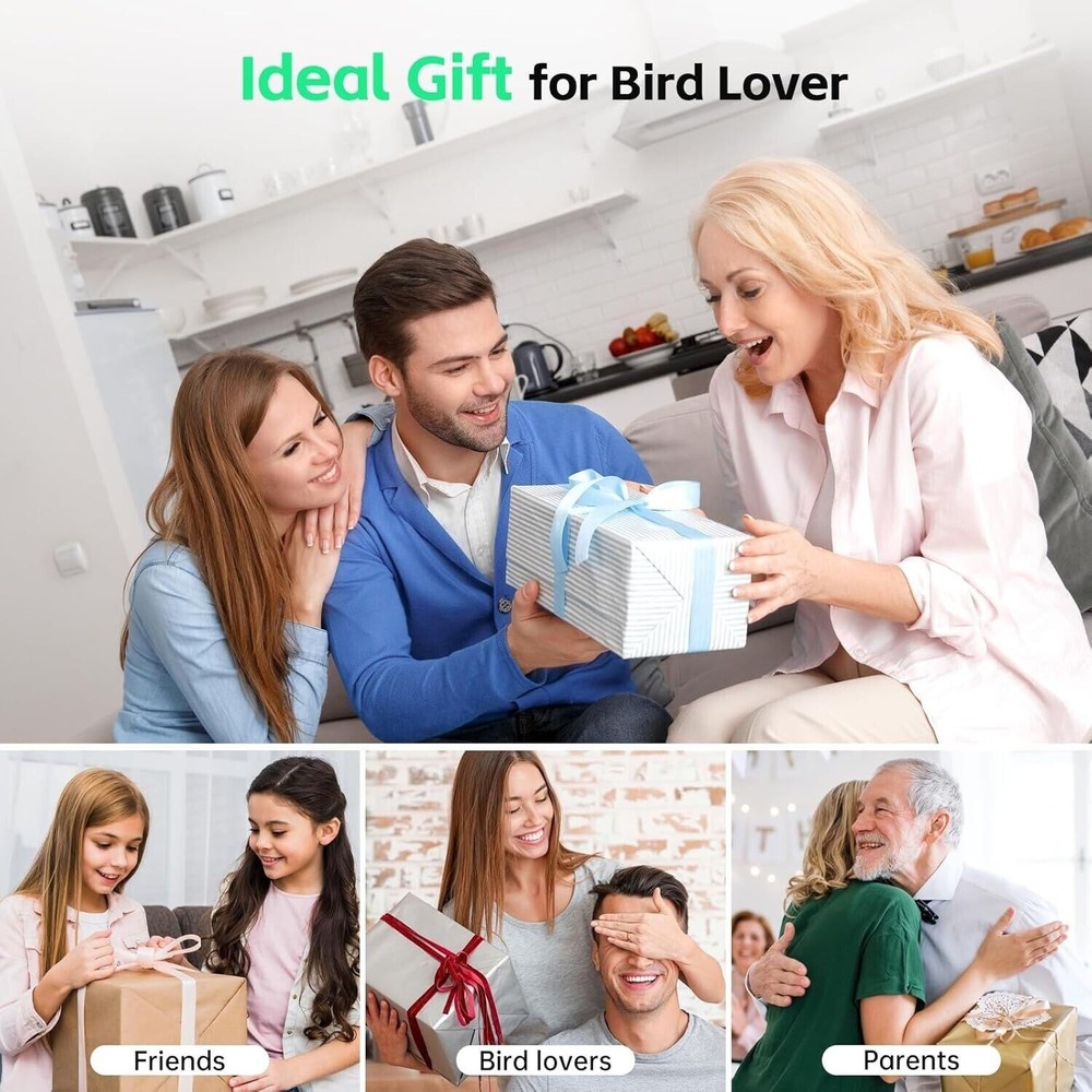 AI Smart Bird Feeder with Camera *NAVFS* Best