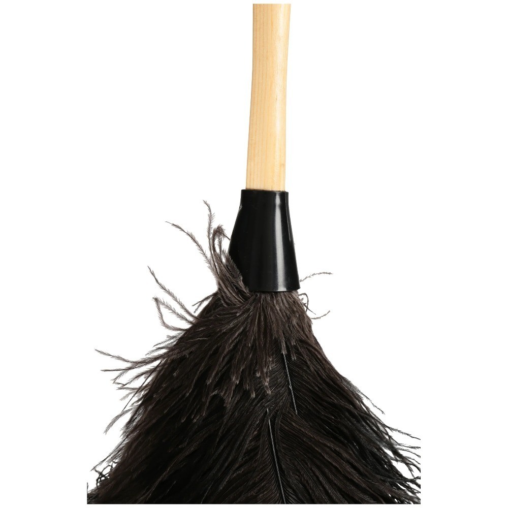 EverClean Ostrich Feather Duster