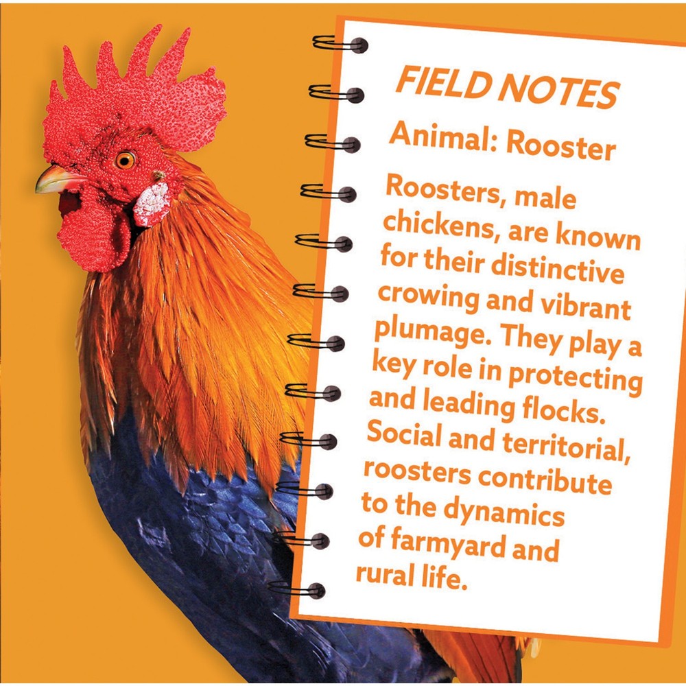 MasterPieces - Rooster 100 Piece Shaped Jigsaw Puzzle