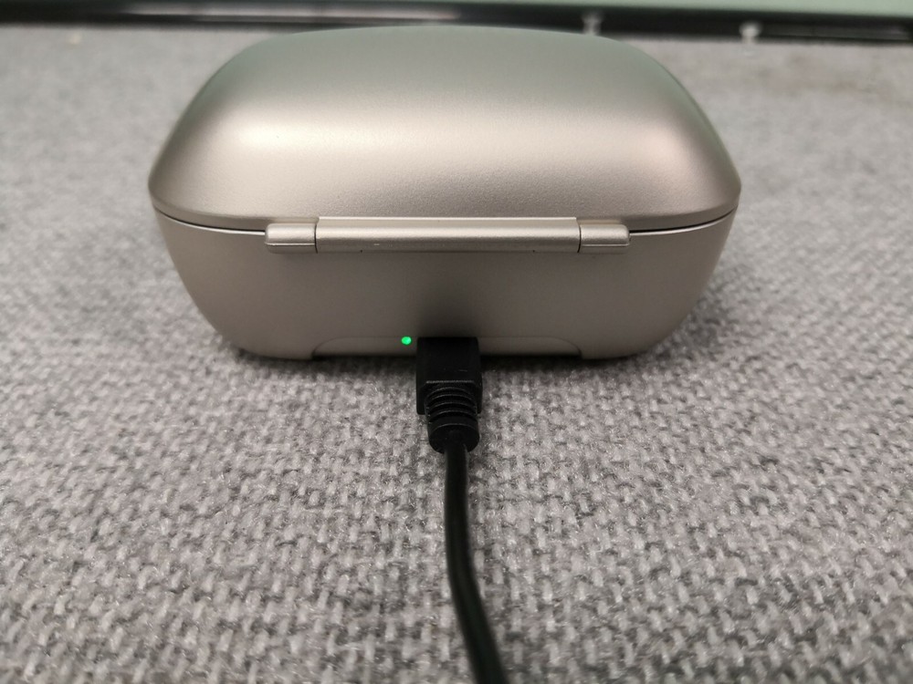 Phonak Charger Case RIC W/ Charger