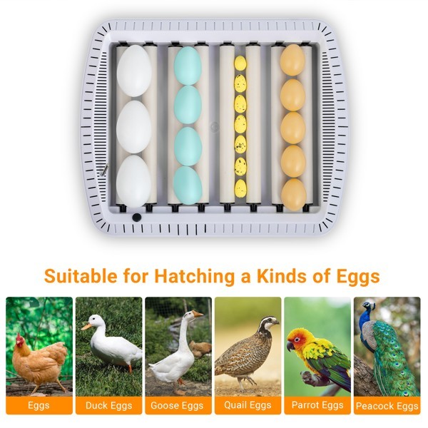 35 Egg Incubator with Automatic Egg Turning humidity Control Incubator for Eggs