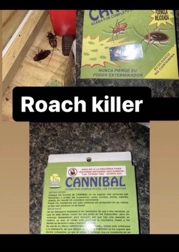 Pesky roaches 🪳 Cucarachas 👋 bye