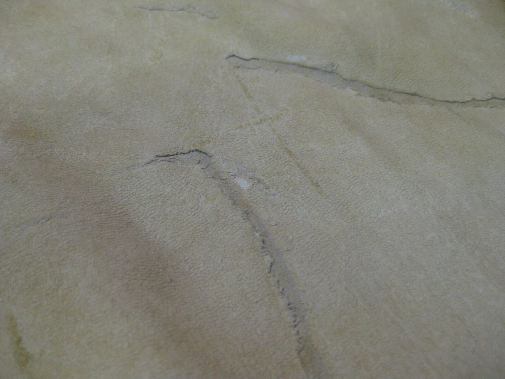 Top Grain Deer Leather # 0012429 ROW 77