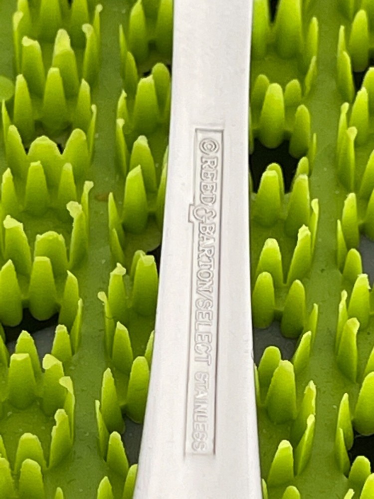 Reed & Barton SOLANGE Stainless Glossy Smart Choice Flatware E74G