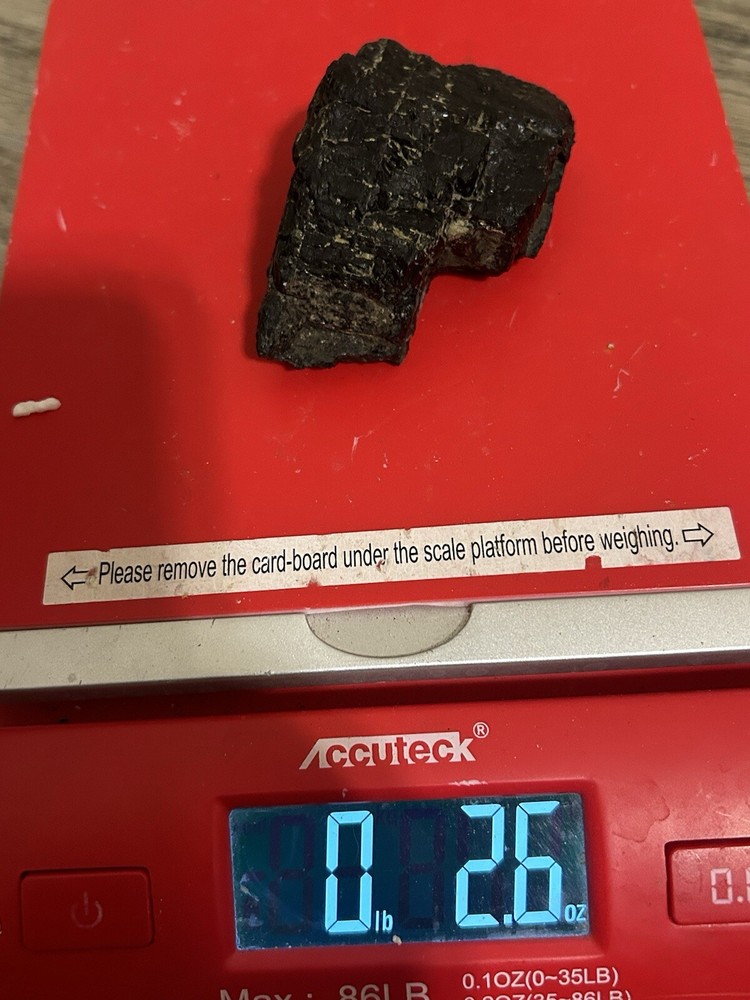 Lower Eagle Ford Cretaceous Coal Zone- Carbonized Dinosaur Age Material, Texas