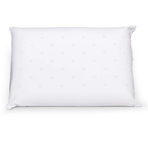 Water Memory Foam re-Invented with Waterbase Technology - Single Pack Pillow