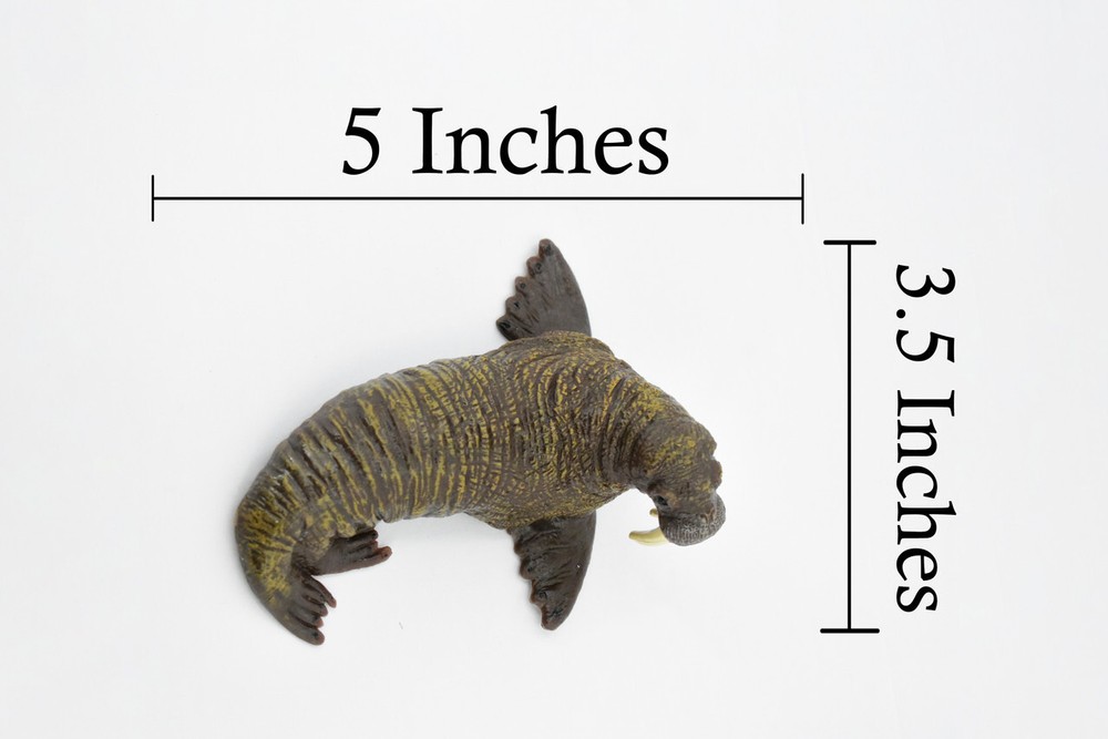 Walrus, Realistic Toy Figure, Model Replica Educational Gift 5" CH379BB142