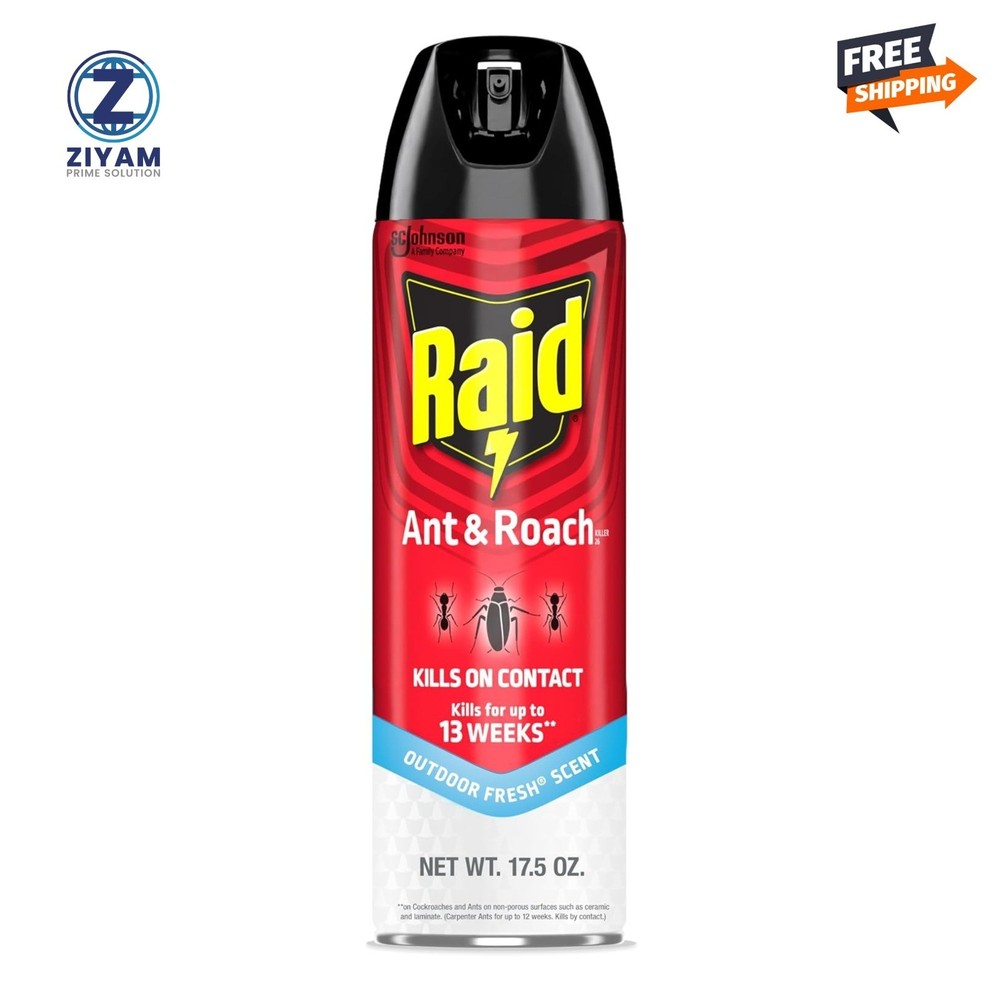Raid Defend Ant and Roach Insect Killer, Indoor Insecticide, 20 oz.