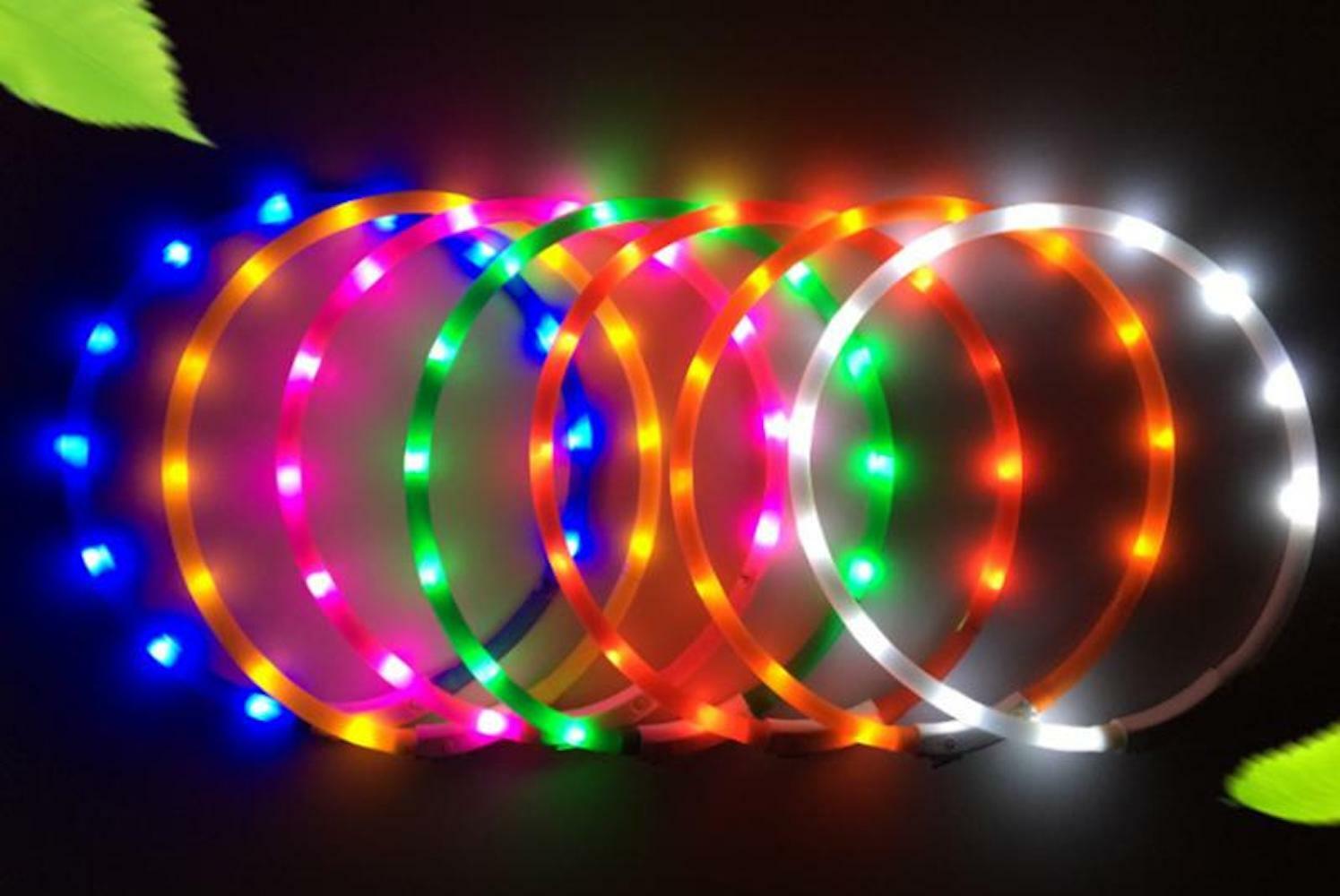 DOT RECHARGEABLE DOTTED LED PET GLOW COLLAR adjustable flash light-up FOR dog