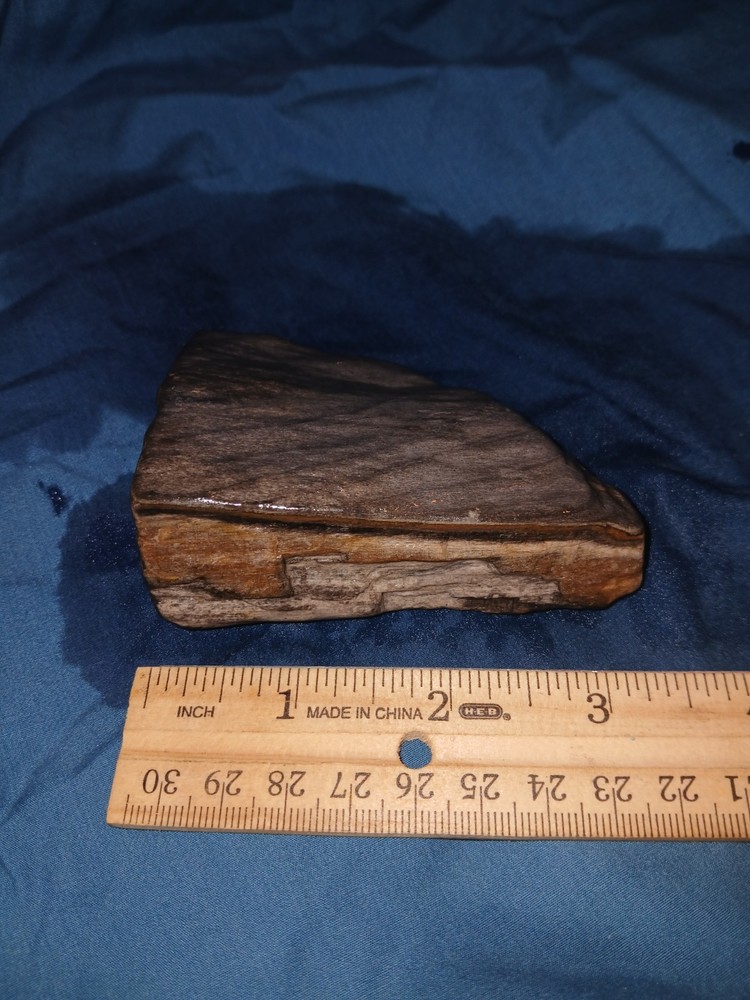 6.7 oz Agatized Petrified Wood