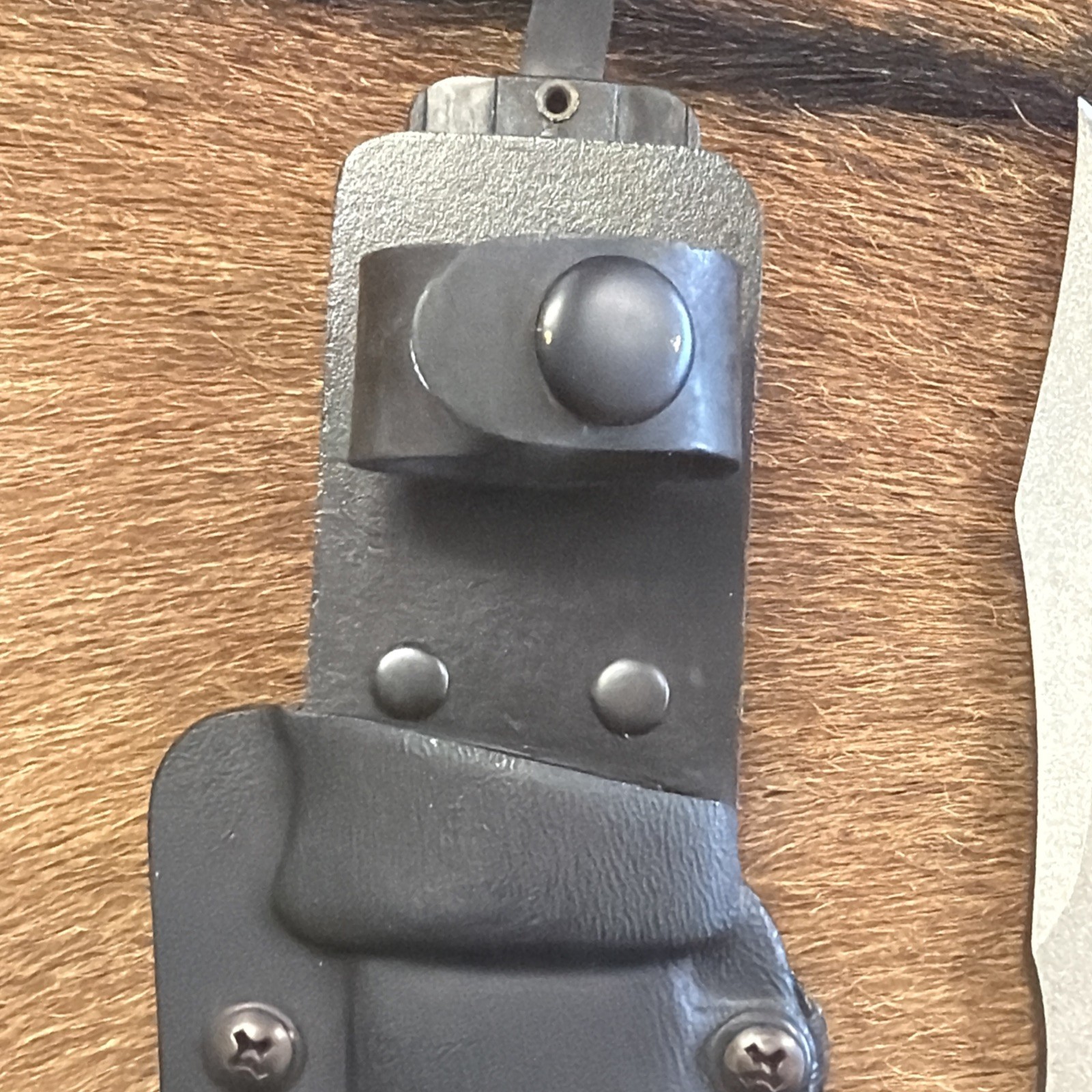 SEKI-JAPAN SOG SEAL PUP SATIN FINISH FIXED BLADE KNIFE