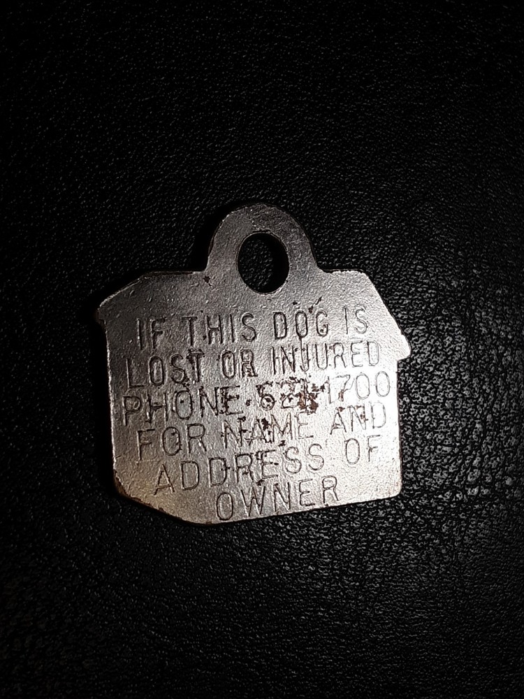 Dog Licence tag San Francisco 1982 / Item #A78