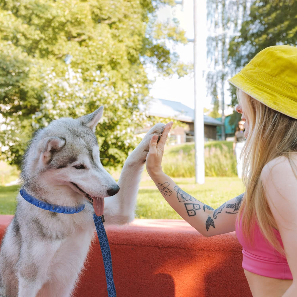 【Upgrade】 Adjustable Dog Training Collar with 4 Extra Links for Medium, Large an