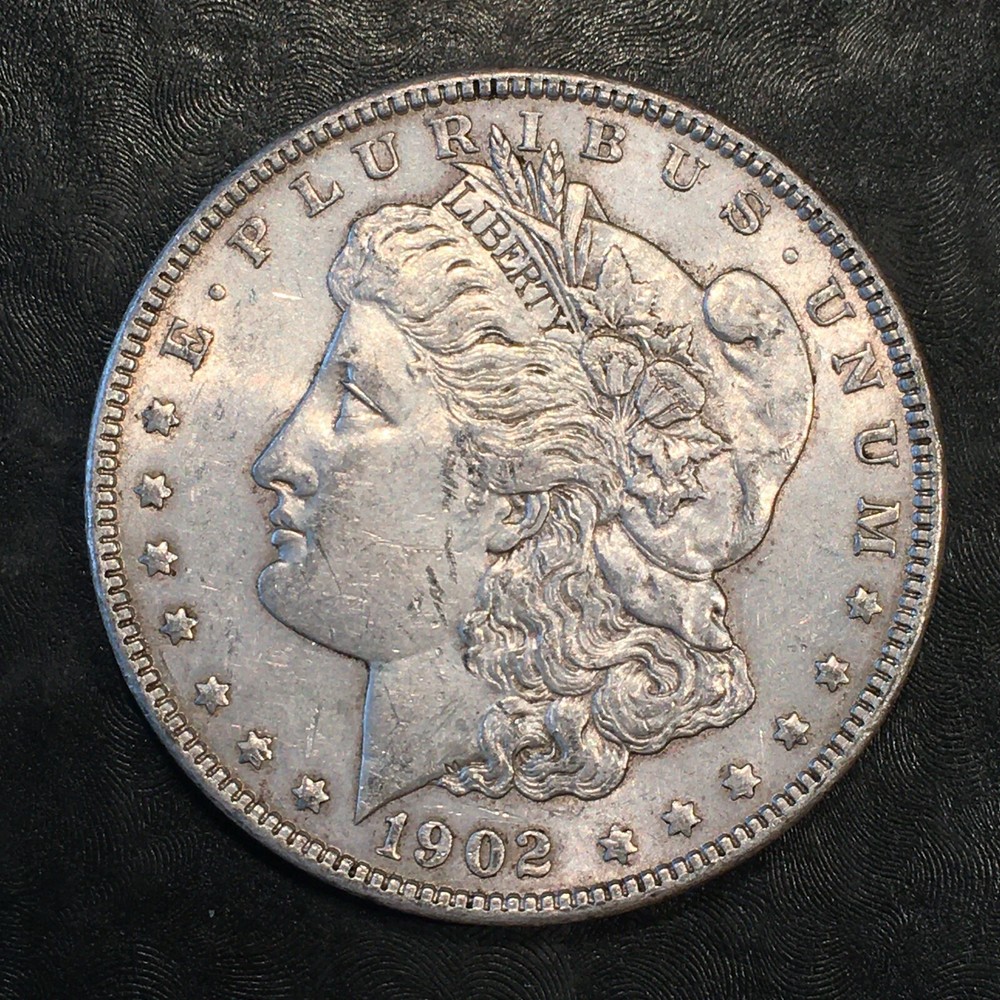 1902 Morgan Silver Dollar - High Quality Scans #i588