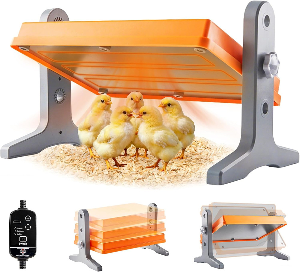 Chick Brooder Heater Plate – 12" X 8" Adjustable Height & Temperature Poultry Wa