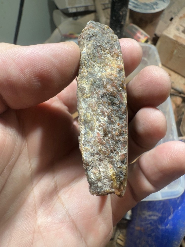 Dinosaur bone rough **hxtled end cut