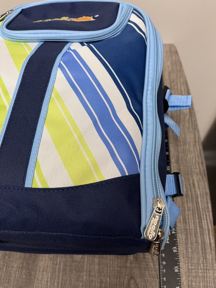 Apollo Cooler Picnic Backpack for 4 Blue Green