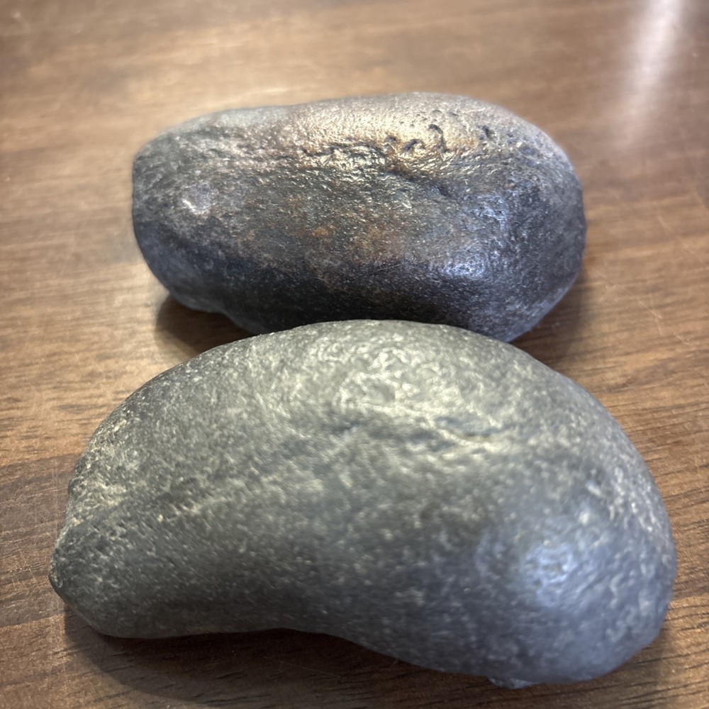 (2) 3.5 Inch Fossilized Whale Ear Bones
