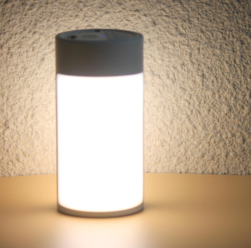 Survival Camping Lantern, Rechargeable LED Lantern,62LEDs,3 White