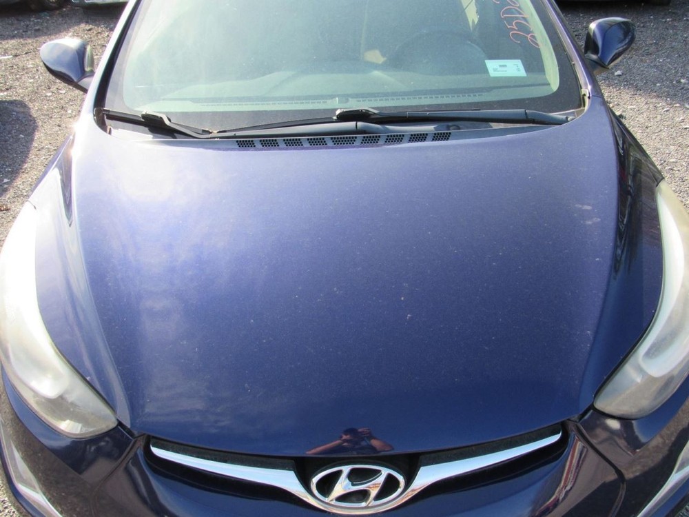 ELANTRA 2014 Glove Box 1041677