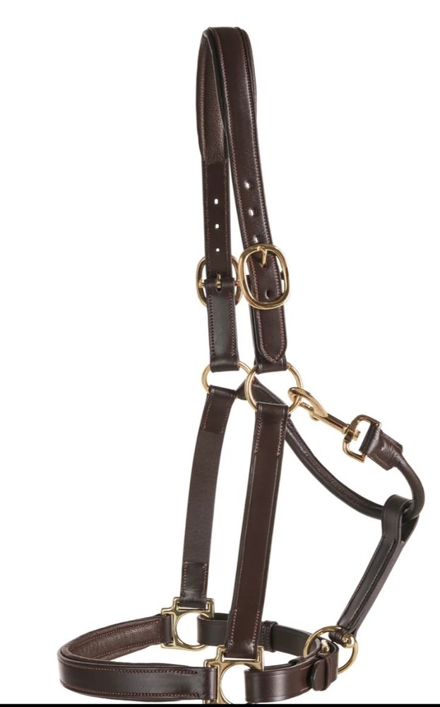 Horse Leather Halter