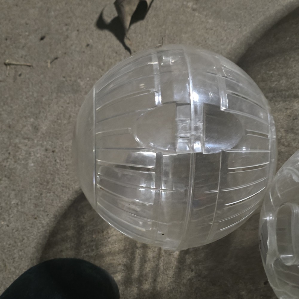 Clear, Purple, Yellow Plastic Exercise Balls for Gerbils