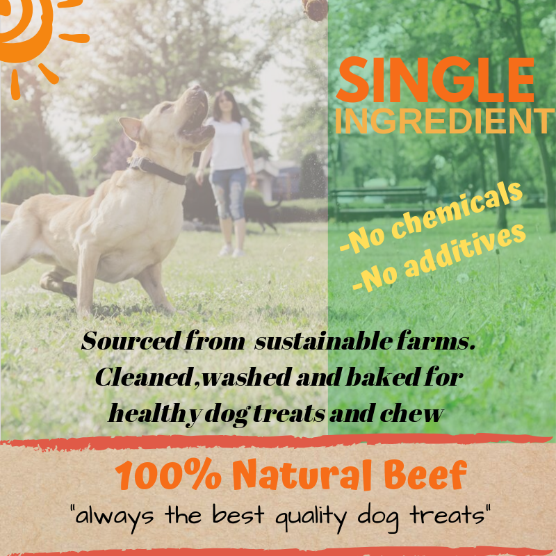 PREMIUM 6" inch BULLY STICKS FOR DOGS EXCELLENT DOG CHEW AND DOG TREAT (10 pcs)