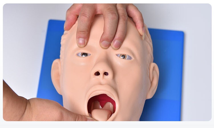 110V-220V Universal Tracheal Intubation Training Teaching Model with Indicator