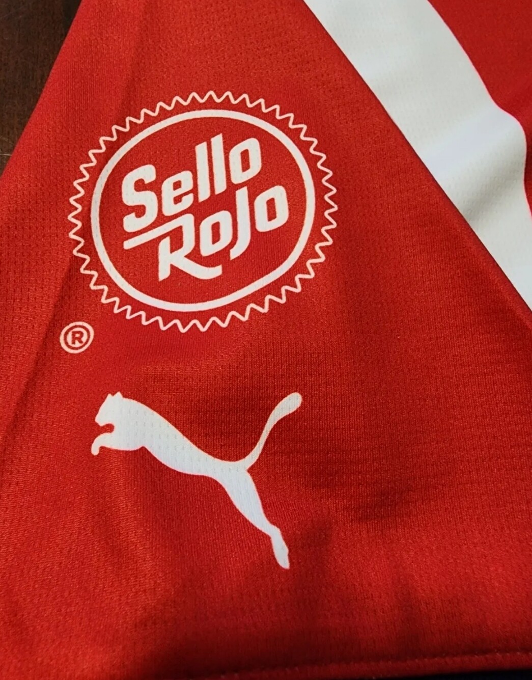 Puma Chivas Rayadas de Guadalajara 2024 home Jersey local Chivas Chicharito 14