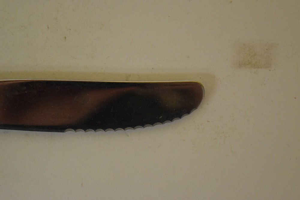 Vintage WM Rogers Oneida Vanessa Francesca Silverplate Modern Solid Knife 9"