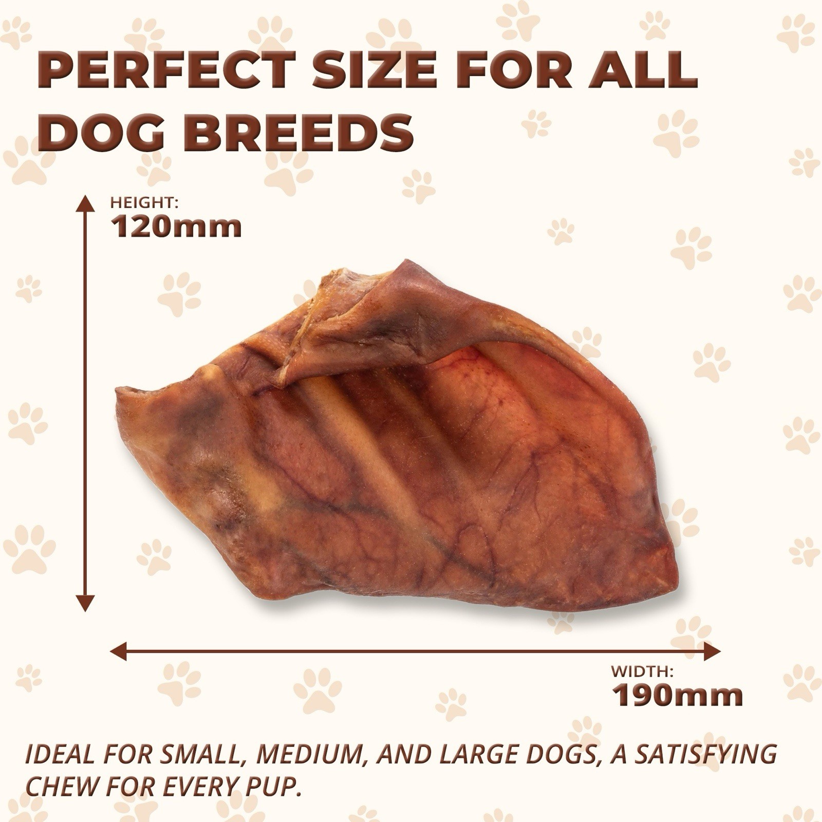 100% Natural Whole Pig Ear Dog Treat - 10 Pack Healthy Pig Ears.