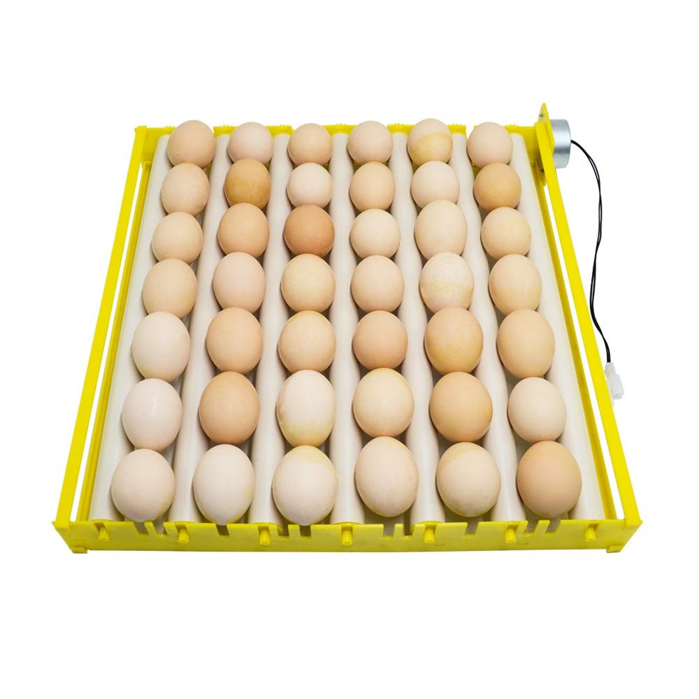 HBtree Automatic Multifunction Incubator Egg Tray Turning Hatcher for