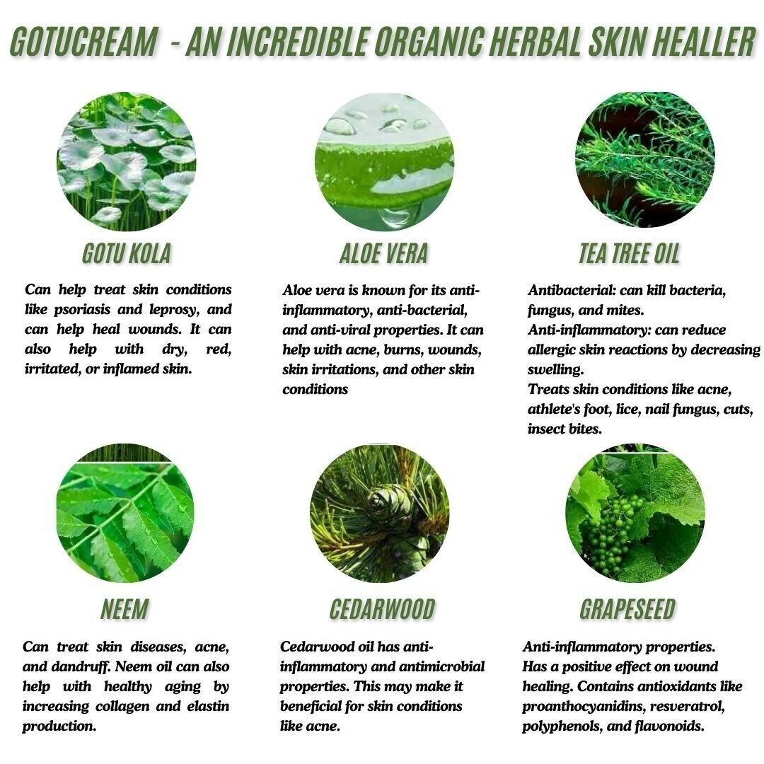 Gotucream 10oz Jar – Organic Healing Cream for Cellulitis & Skin Inflammation