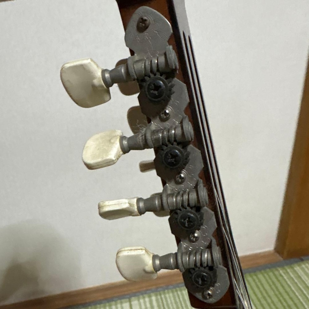 Raffaele Terada Musical Instruments High End Mandolin RM-3 String Guitar