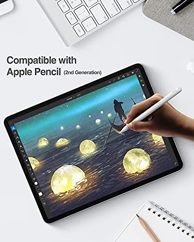Privacy Screen Protector for iPad Pro 11 4th 3rd iPad Pro 11" 4th 3rd 2nd 1st