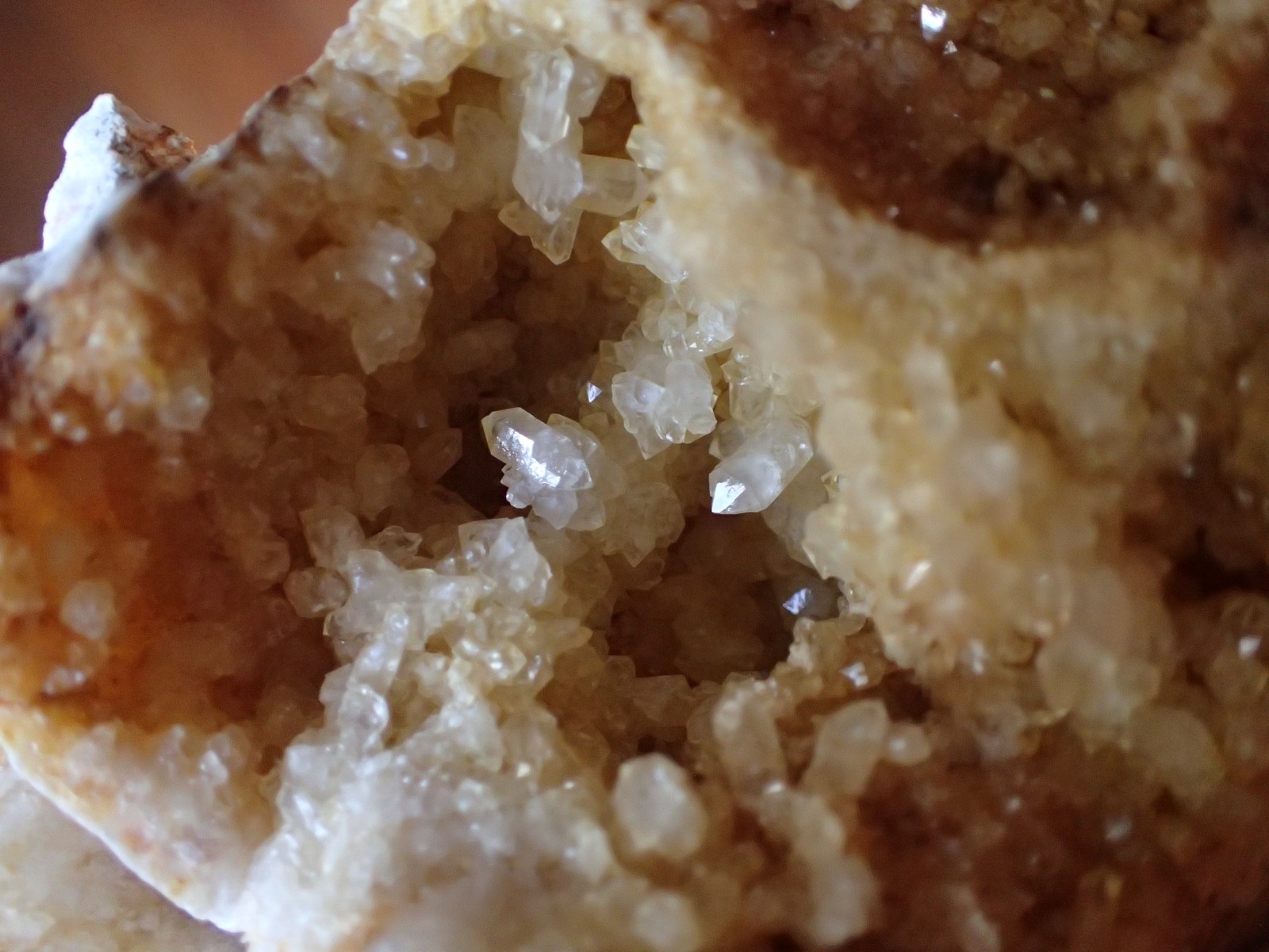 Druzy Crystal Geode Kentucky Stone Specimen Collection Paleo Gift Mountain KG14