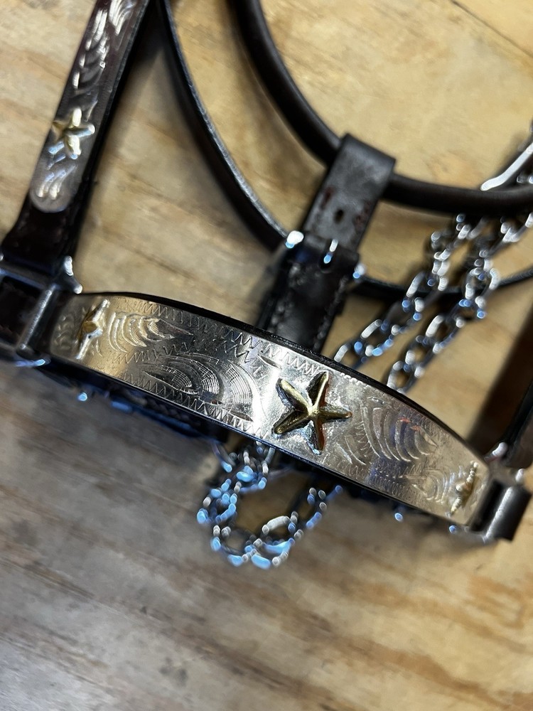 western show halter silver Horse Sized