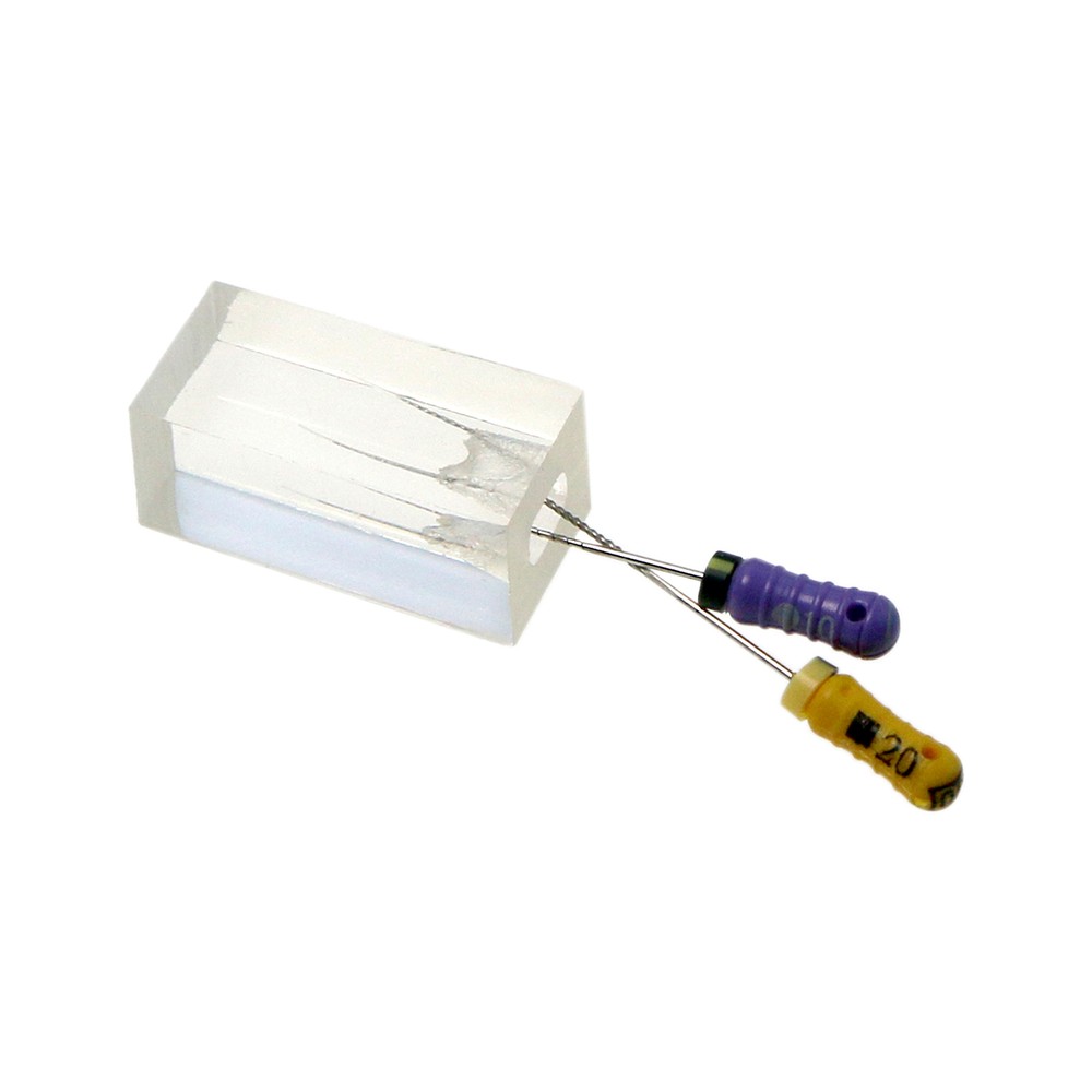 10PCS Dental Endodontic Root Canals Practice Model Endo Training Block Clear