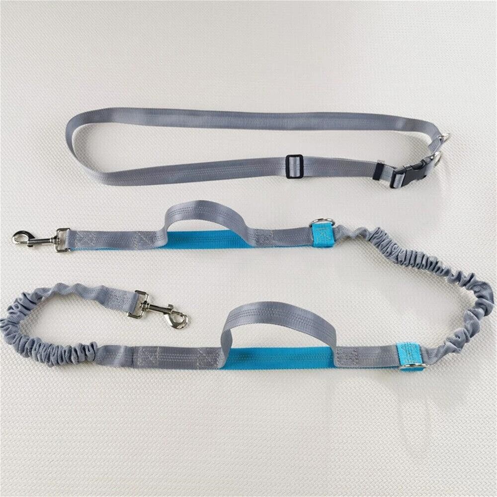 Dog Leash Belt Hands Free Running Jogging Walking Waist Pouch with Bungee Leash