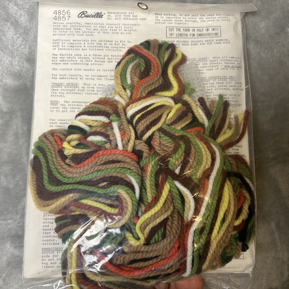 Bucilla Needlepoint Eyeglass Case Kit Daisy Garden #4857